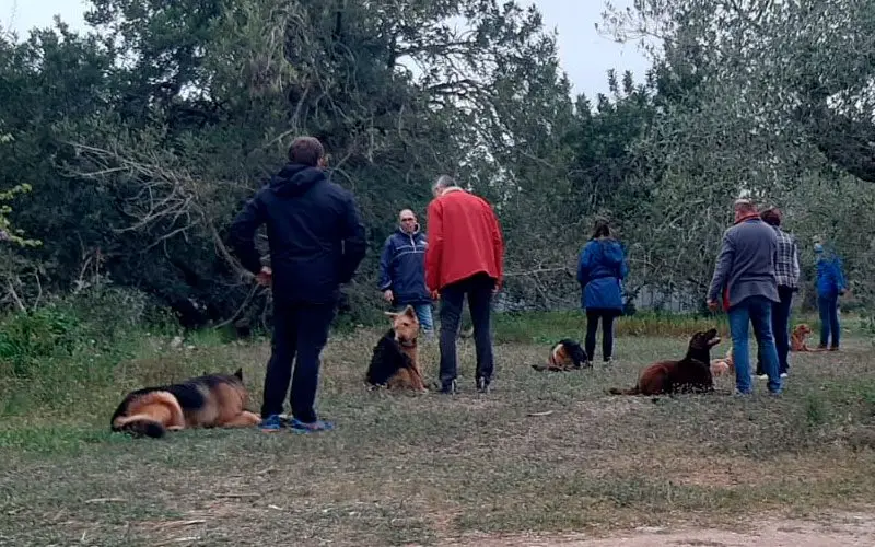 educación de perros en Reus Tarragona