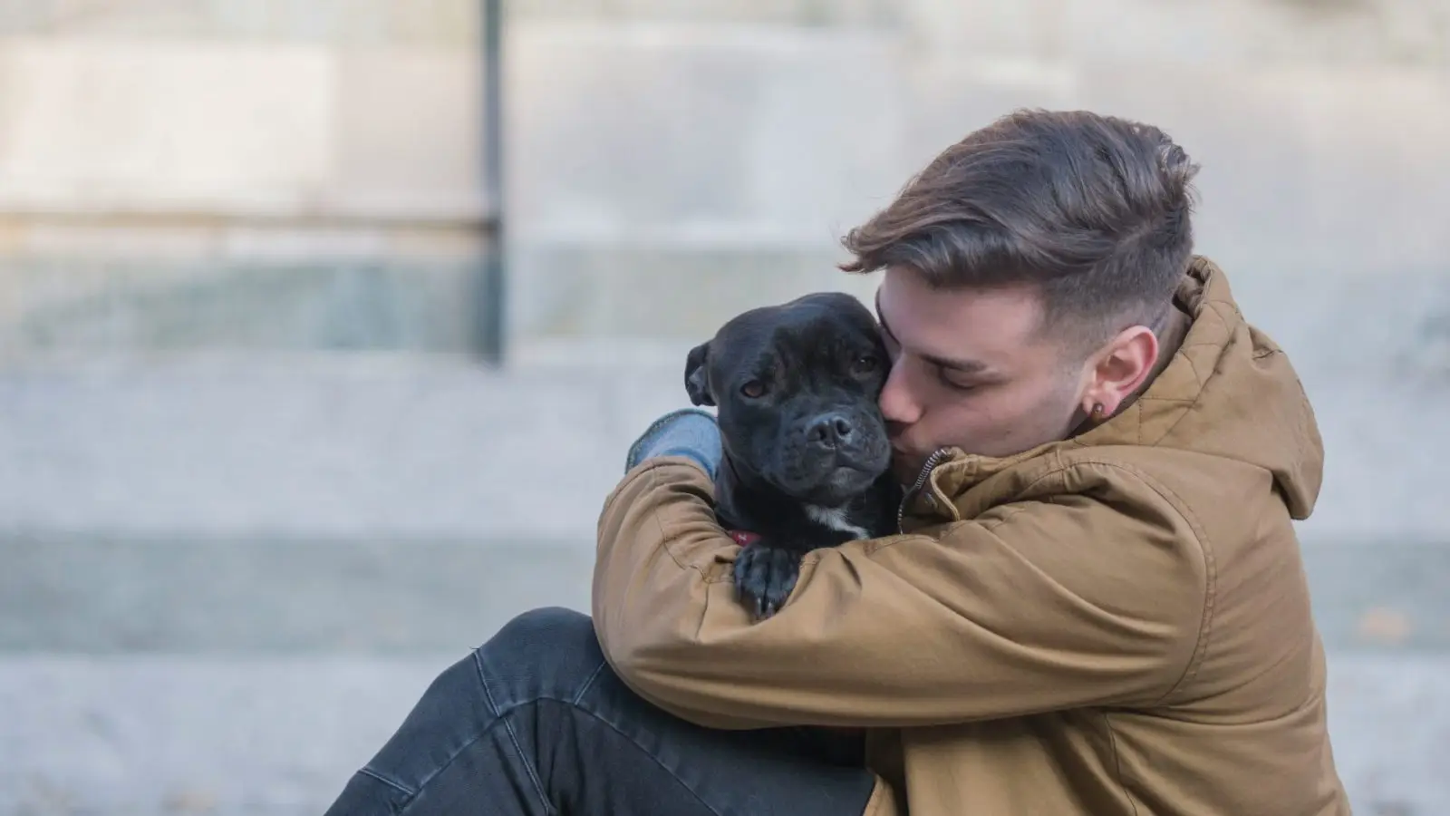 curso de educación canina reus tres piranas